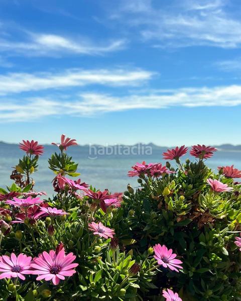 Foto f29ff530-e34e-4571-962d-0f1366bc133f. Maison dans calle de helena 772 dans Los Narejos_Punta Calera Alcázares (Los)