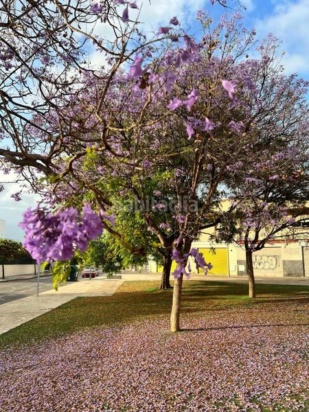 Foto 9895b951-db91-480b-9c84-918c940b51da. Maison dans ruso 4 dans Centro Alcázares (Los)