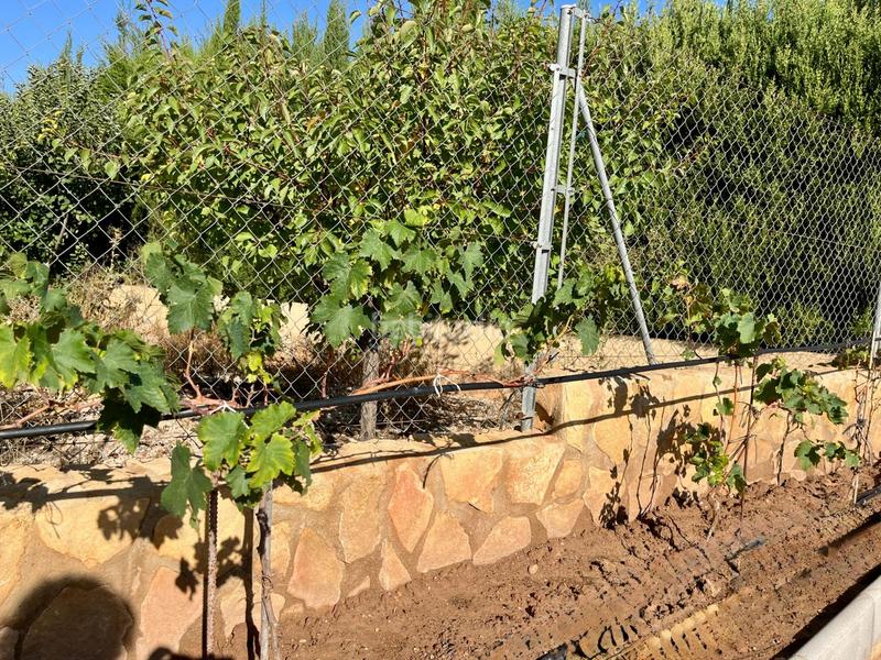 Foto 17fc3954-7fb6-457b-9c41-12aaf62f0f0b. Xalet amb aparcament piscina a Montroy