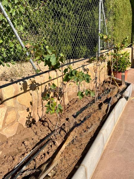 Foto b732cc6a-07e6-498c-b257-b84879ad392e. Xalet amb aparcament piscina a Montroy