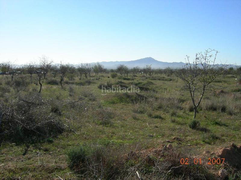 Foto f6918c6c-22a2-4e38-9909-300f2ad829b8. Maison dans pasaje viñas del alto 37 dans Los Almagros - Los Paganes - El Escobar Fuente Álamo de Murcia