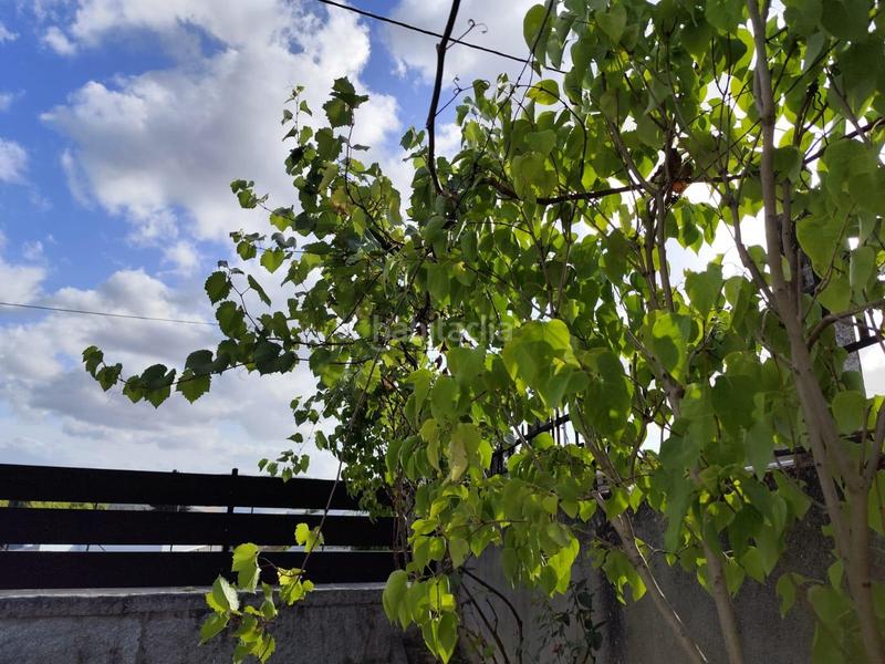 Foto 67be2dcd-bbcd-4822-8865-57b54eb94d25. Chalet mit heizung parking in A Carballeira Ourense