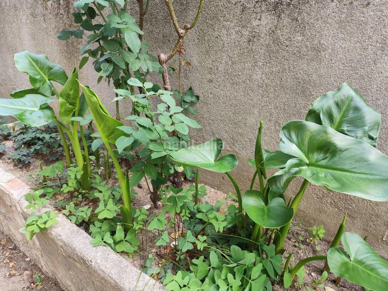 Foto c939d2e7-f48f-451a-9262-1eab271c11e5. Chalet mit heizung parking in A Carballeira Ourense