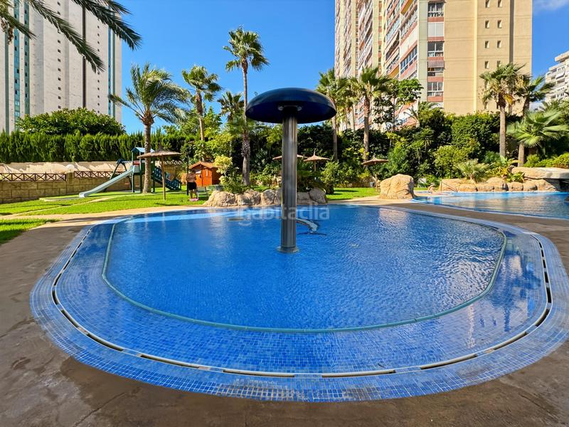 Foto 5bfab1b1-4a31-4d35-b505-ce91e47fc1cf. Lloguer apartament amb piscina a Cala Palmera-Atrium Vila Joiosa (la)