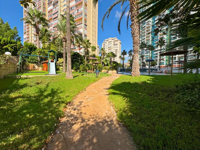 Foto d5d72486-51d6-4b68-bf8d-a58f4fccaef6. Lloguer apartament amb piscina a Cala Palmera-Atrium Vila Joiosa (la)