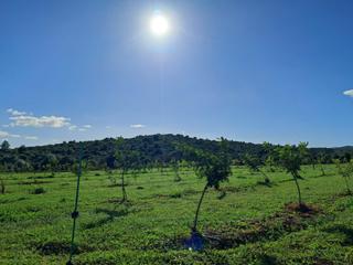 Rural plot in Cabanes. Terreno rústico en cabanestorreblanca sin comisiones!