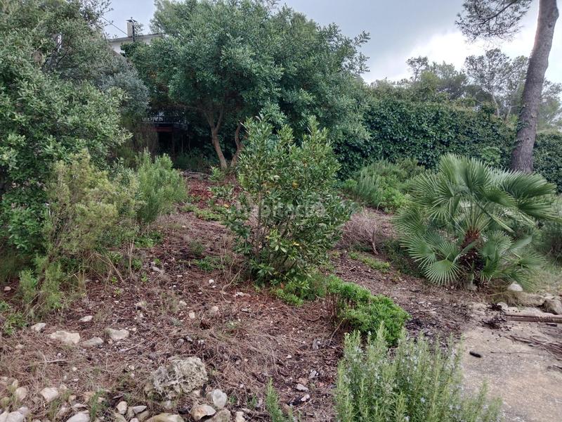 Foto 920c77fa-f90e-477c-9a2f-ef8ff4a8c235. Casa a calle cal cinc dies a Montmell (El)