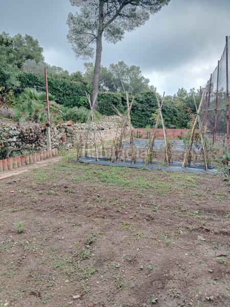 Foto dfe273b4-7f0b-491b-84ed-c05fbd2a5d7d. Casa a calle cal cinc dies a Montmell (El)