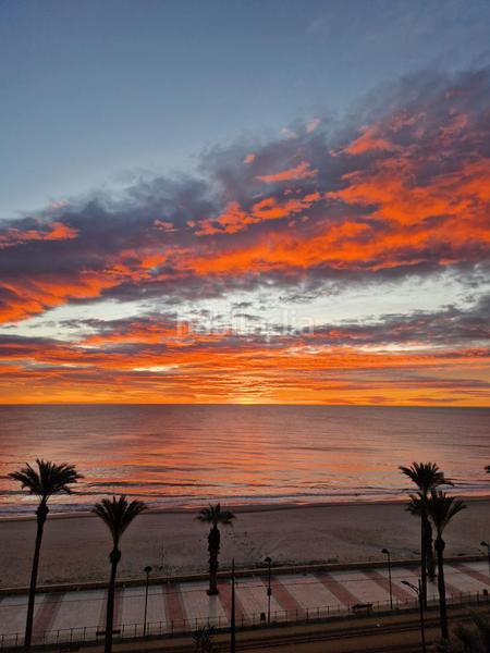 Foto 932adc17-4489-4b65-81cd-8f30846e3141. Pis amb aparcament piscina a Playa Muchavista Campello (el)