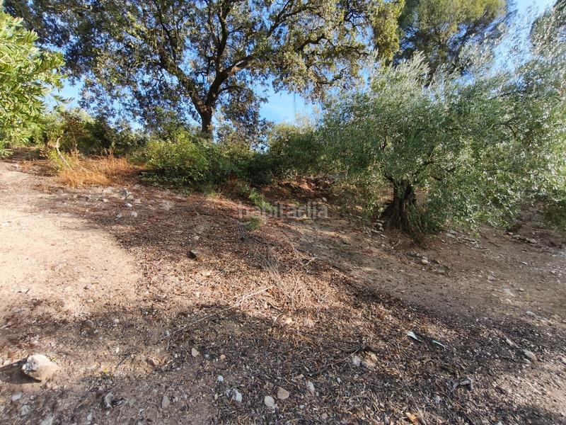 Foto 3080376e-8f5d-40bd-b1d3-30f61f7f28f2. Casale con parcheggio in Iznájar