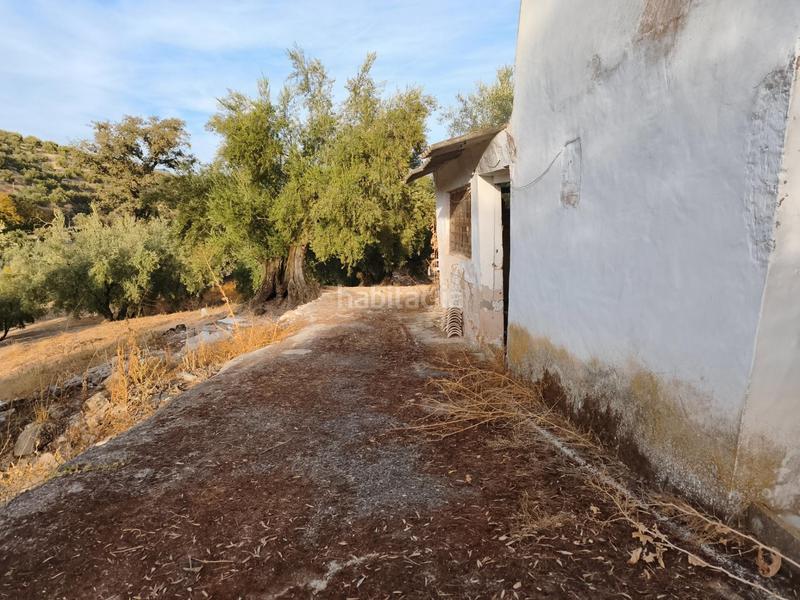 Foto 58b9a264-0696-42a7-bf2e-f98849cb10ca. Casale con parcheggio in Iznájar