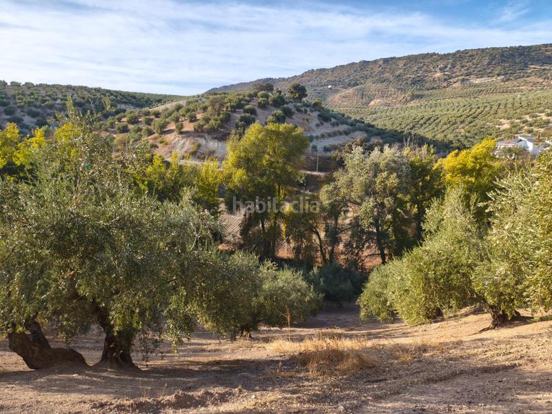 Foto 71aee9aa-fab1-4f39-be19-51dbfb972ea6. Casale con parcheggio in Iznájar