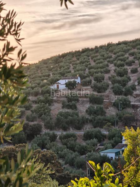 Foto 7779160e-e74d-4e0c-81a8-d973b19cc76d. Casale con parcheggio in Iznájar