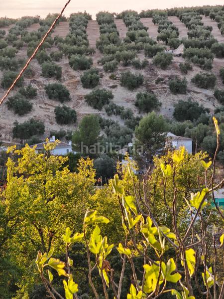 Foto 7e8b5350-df2f-4786-81ef-3e5e59daf1af. Casale con parcheggio in Iznájar