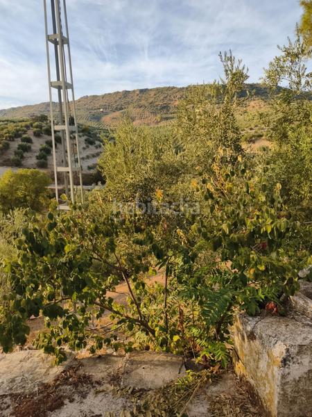 Foto 978a5ba6-5d67-423e-9c23-9f67ed4b3bae. Casale con parcheggio in Iznájar