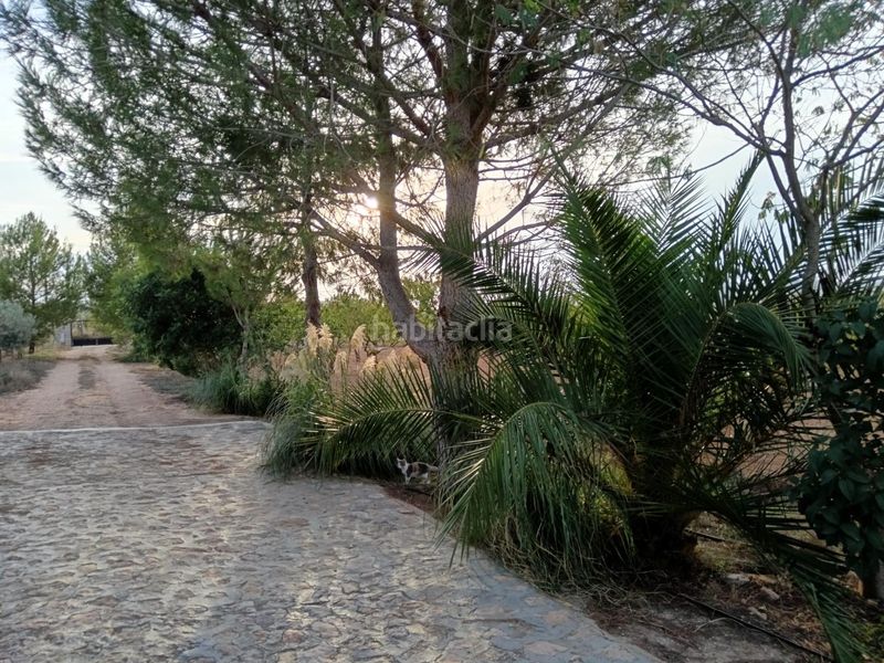 Foto 2a0c3bf0-1464-457e-a946-69acb70a76a6. Chalet casa de campo con 5.170 m2 de parcela a 9 min en Pinoso