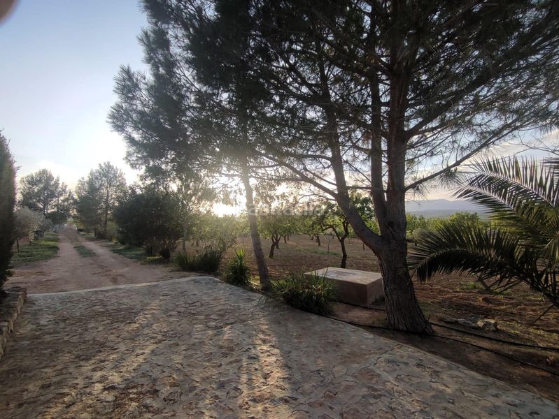Foto 9401922c-1529-4387-885b-77869f86cccd. Chalet casa de campo con 5.170 m2 de parcela a 9 min en Pinoso