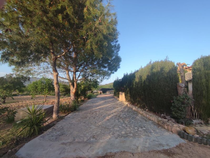 Foto bfbb0a0c-1a65-4ae4-8c8f-cccbb59cfa1b. Chalet casa de campo con 5.170 m2 de parcela a 9 min en Pinoso