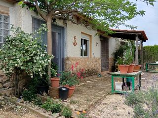 Chalet in Pinoso. Casa de campo con 5.170 m2 de parcela a 9 min de pinoso