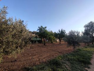 Chalet in Pinoso. Casa de campo con parcela de 5.000m2 en pinoso lista para entrar