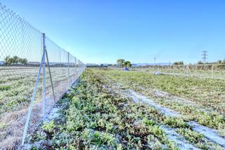 Landgut  San fulgencio. Terreno rústico en san fulgencio  2.183 m de potencial y natural