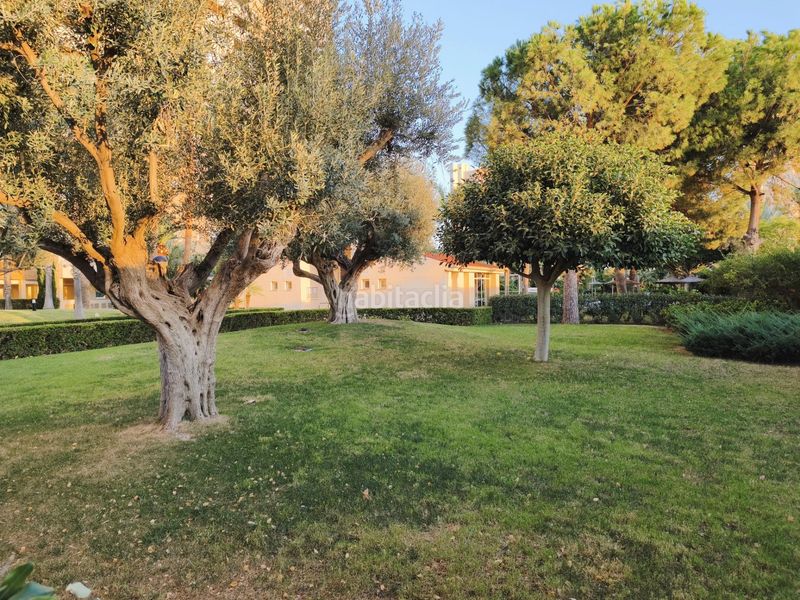 Foto aa909ef0-9011-4aa9-b371-bdbcbc6383bc. Pis amb aparcament piscina a Playa Muchavista Campello (el)