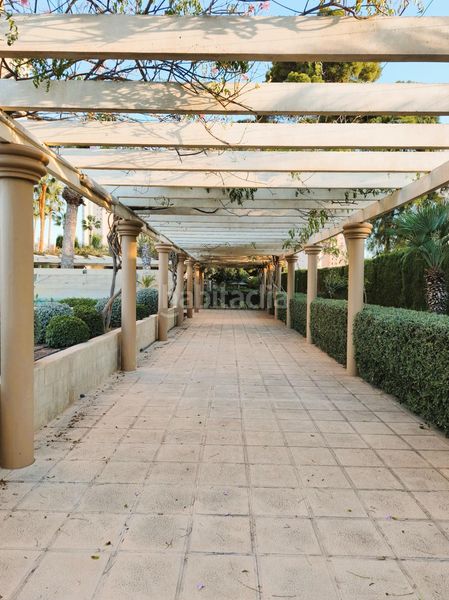 Foto e087e370-6eaf-440d-a6b9-e58ba62a4711. Pis amb aparcament piscina a Playa Muchavista Campello (el)