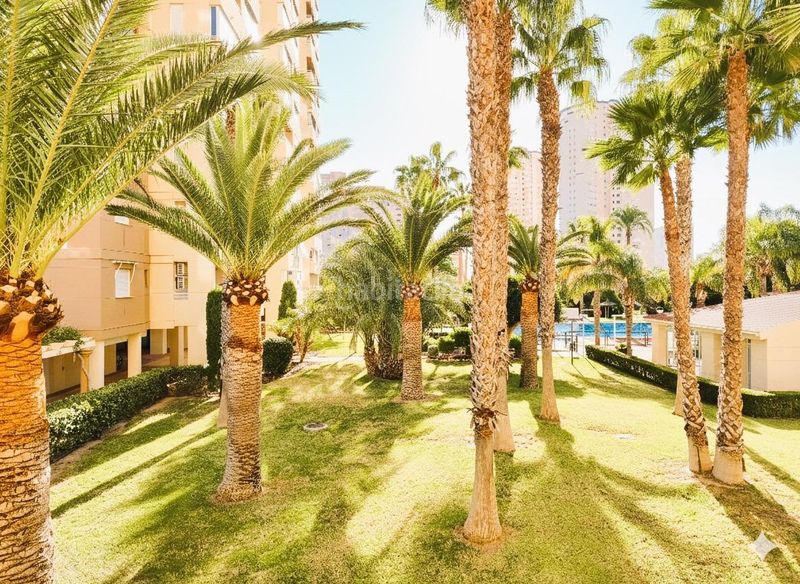 Foto e0c4ec64-f6d1-4036-a3bb-16a6a4db107d. Pis amb aparcament piscina a Playa Muchavista Campello (el)