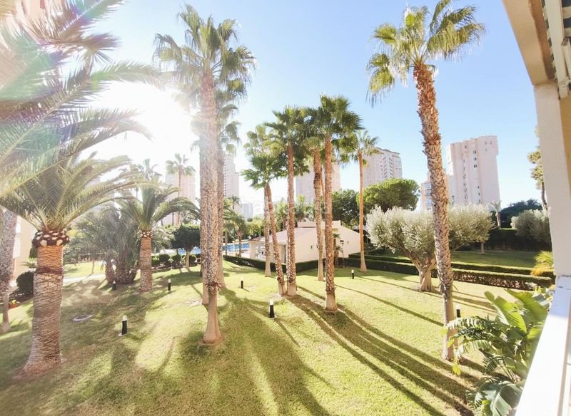 Foto f4000017-d9ff-45d8-acc6-4bbcb9b66601. Pis amb aparcament piscina a Playa Muchavista Campello (el)