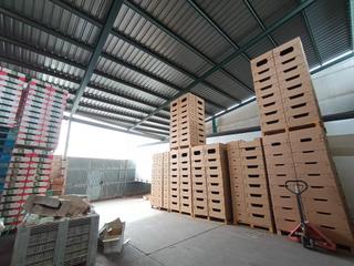 Fabrikhalle in Villaconejos. Nave industrial