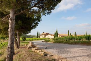 Masia a Algaida. Excepcional finca en el centro de mallorca
