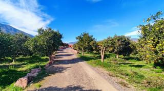 Masia  Calle río de terque. Cortijo en terque