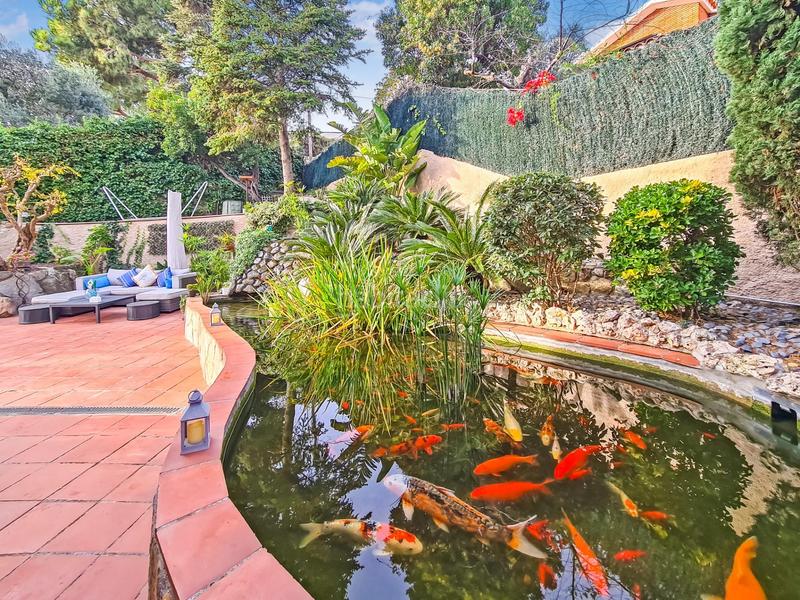 Foto 87f26544-f0df-4b95-9efd-f07668448639. Casa con riscaldamento parcheggio piscina in Alella