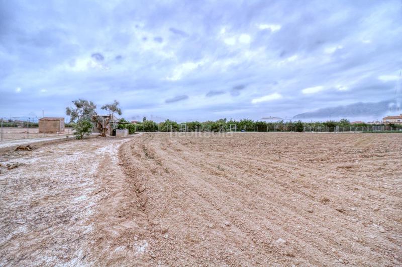 Foto 1b03a649-c56f-4b87-9f3f-39f9265ccf36. Finca rústica en de lucas 7 terreno rústico en orihuela con doble construcción, barbacoas y riego en Rafal