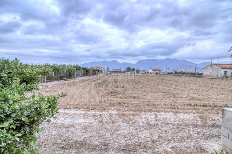 Foto 596bfbf8-dc64-4806-94ee-c11c930f3071. Finca rústica en de lucas 7 terreno rústico en orihuela con doble construcción, barbacoas y riego en Rafal