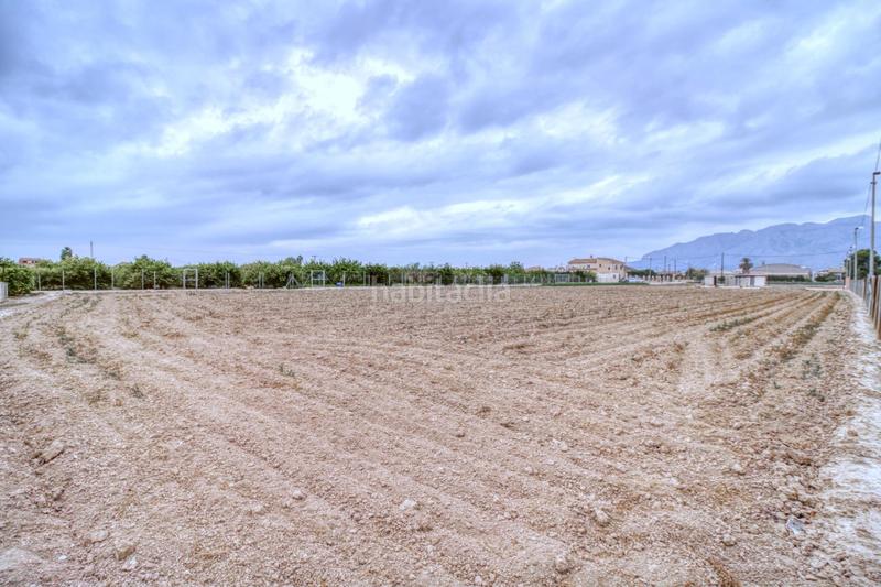 Foto 8e49c536-c12f-4d32-a689-4709abb55050. Finca rústica en de lucas 7 terreno rústico en orihuela con doble construcción, barbacoas y riego en Rafal