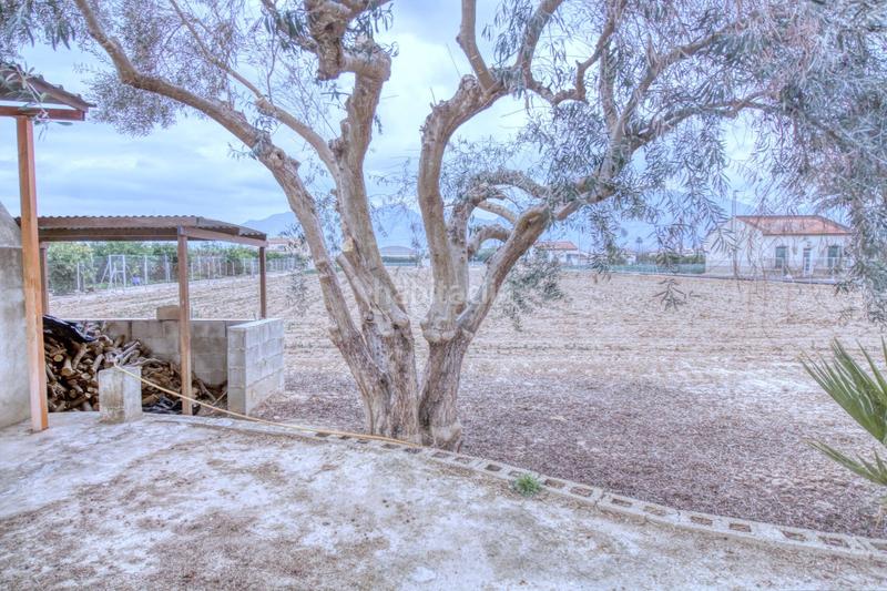 Foto b7dcf41d-eb33-4bd2-98eb-e25be4d3cacd. Finca rústica en de lucas 7 terreno rústico en orihuela con doble construcción, barbacoas y riego en Rafal