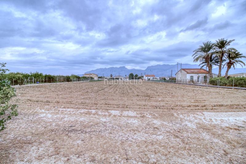 Foto d23e9abd-08fd-42f5-97f0-ad9d8355cd12. Finca rústica en de lucas 7 terreno rústico en orihuela con doble construcción, barbacoas y riego en Rafal