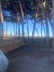 Apartament a La Pineda. Vive frente a la playa