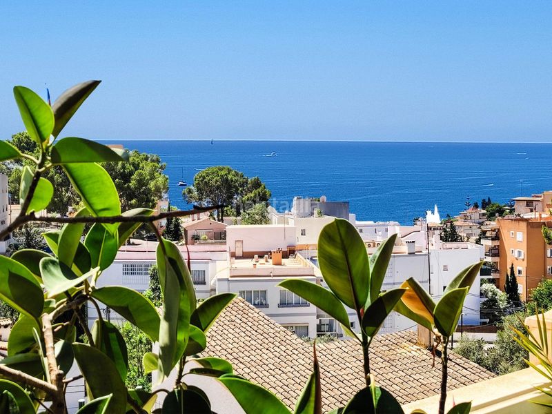 Foto fe708115-3888-4c4b-9e4e-4050dd347acd. Casa amb calefacció aparcament a Sant Agustí Palma de Mallorca