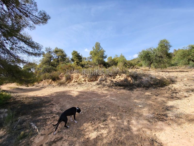 Foto 1f8af977-ac09-4a9a-95b9-2bb76c80623c. Finca rústica a Pobla de Cérvoles (La)
