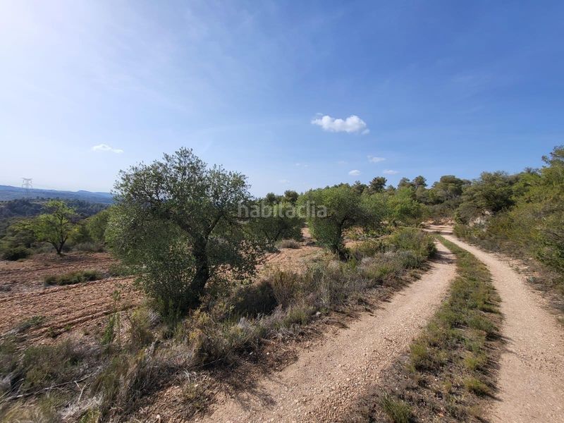 Foto 375f4c2a-9e7a-4f0a-ae08-738cb6d63632. Finca rústica a Pobla de Cérvoles (La)