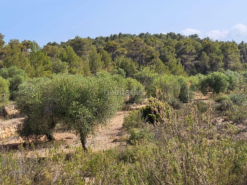 Foto 5c9f5a3d-1696-4ad4-8b8b-2b20e48cbd4f. Finca rústica a Pobla de Cérvoles (La)