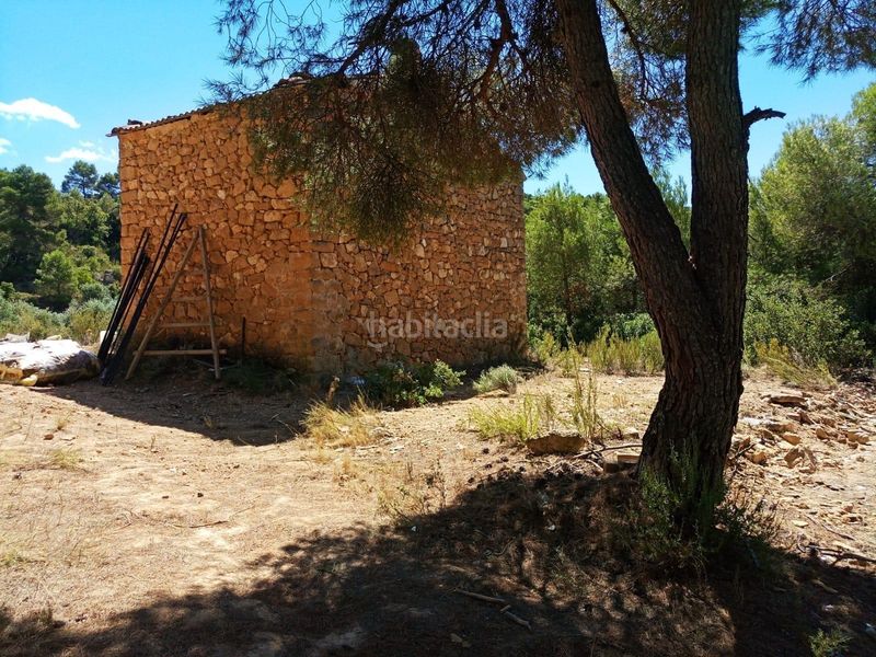 Foto 731da8c9-e66b-4256-8629-dd74af1647f5. Finca rústica a Pobla de Cérvoles (La)