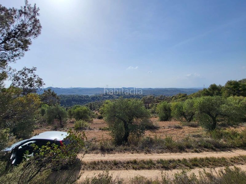Foto a52cfdff-f056-4dd2-9749-820ebb79c065. Finca rústica a Pobla de Cérvoles (La)