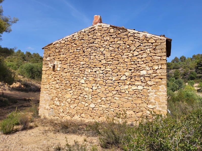 Foto afbbd950-1af5-4d74-ab32-048e975f67c4. Finca rústica a Pobla de Cérvoles (La)
