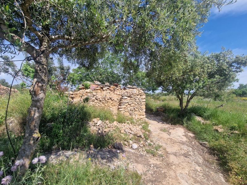 Foto 0424ae54-5c77-4edc-9fb2-542e852c8c73. Finca rústica a Valls