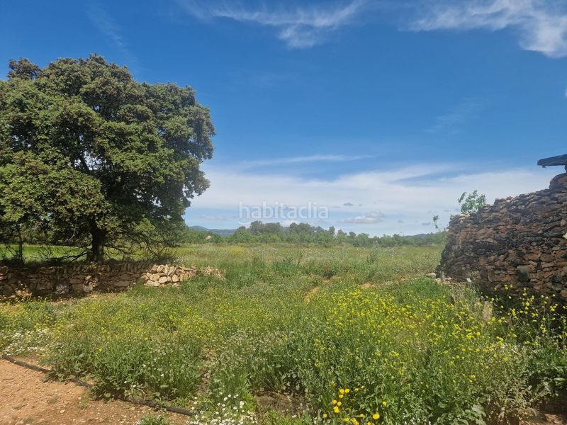 Foto 11c2a8ec-2ee7-4186-af0a-648e855b804c. Finca rústica a Valls