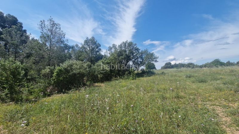Foto 24cda98b-f9a7-4d1e-b236-9bf1238cb7be. Finca rústica a Valls