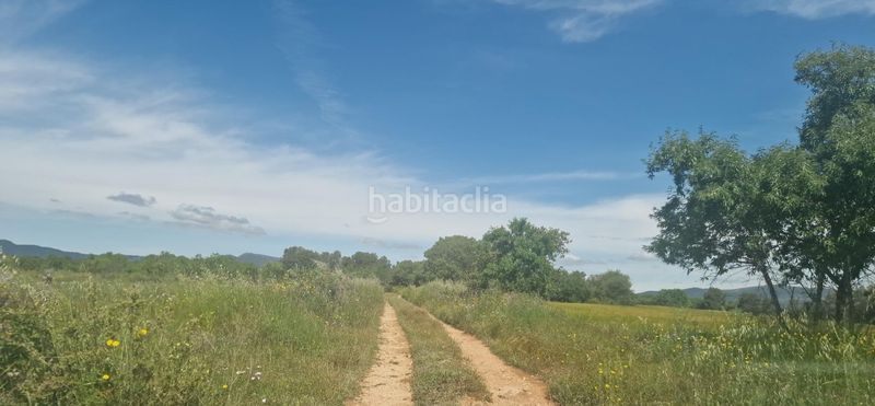 Foto 2dda5d79-2921-4e6b-8c43-e3dd8f55b5d0. Finca rústica a Valls